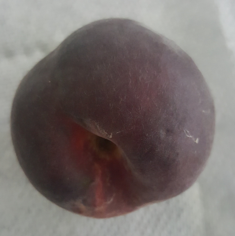A peach - tree-ripened
